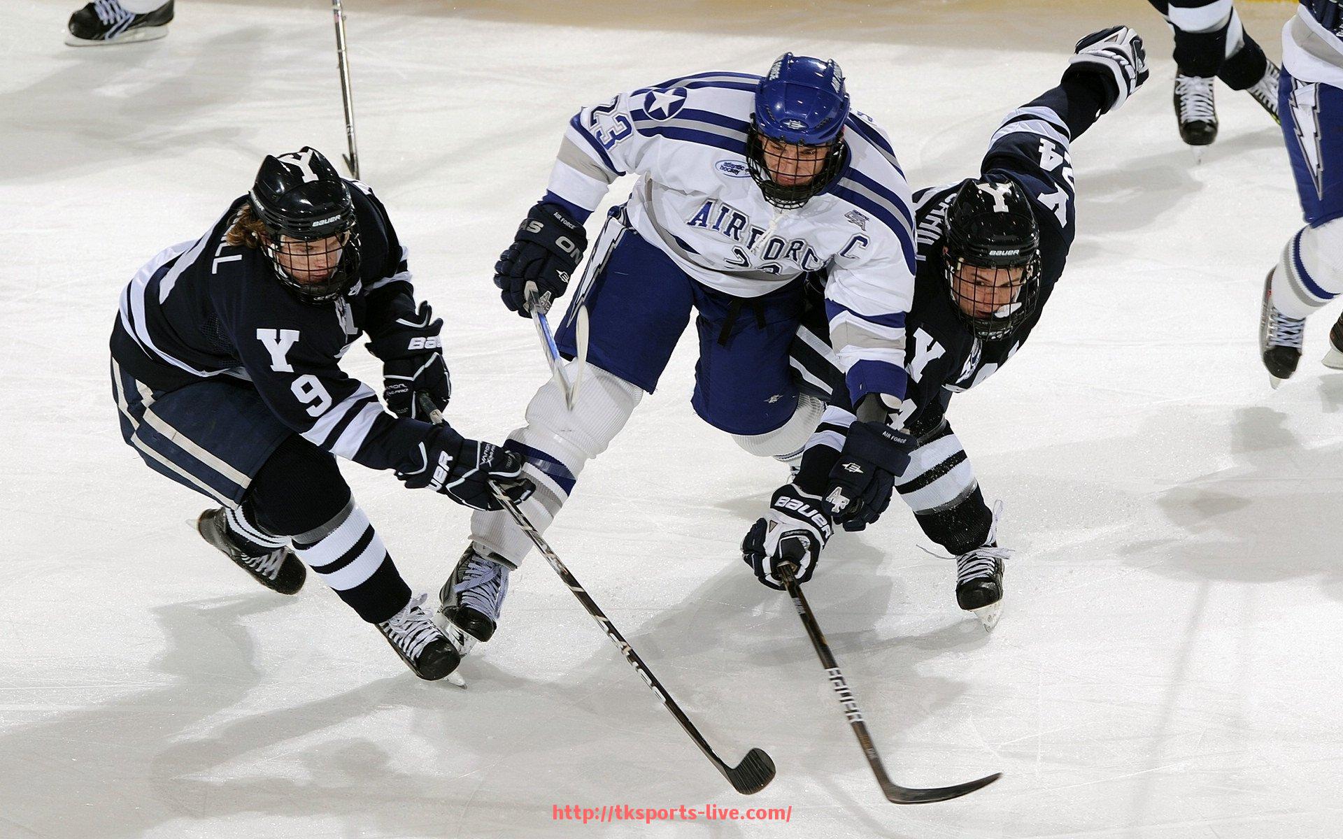 TK体育直播-真实评测：CBA球员竞技水平到底如何？